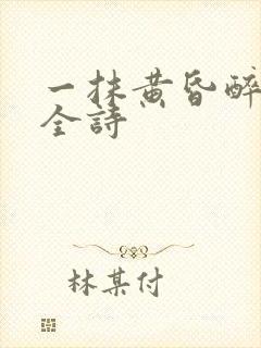 一抹黄昏醉晚霞全诗