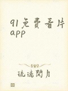91免费看片的app