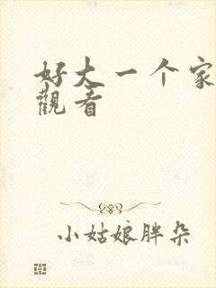 好大一个家在线观看