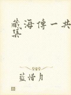 藏海传一共好多集