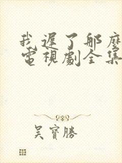 我迟了那么多年电视剧全集免费播放