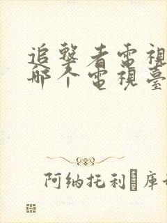 追击者电视剧在哪个电视台播放