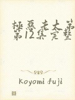 极恶老大第2季第12集完整版