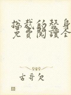 总裁的替身前妻免费阅读全文正版封面