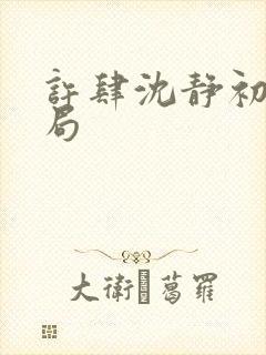 许肆沈静初大结局