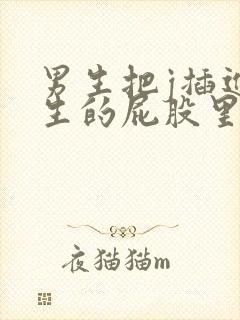 男生把j插进女生的屁股里封面