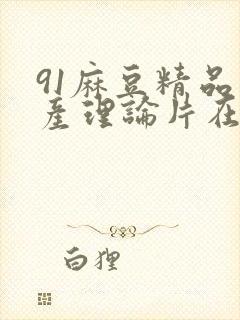 91麻豆精品国产理论片在线观看