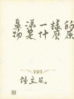 鼻涕一样的分泌物是什么原因