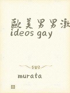 欧美男男激情videos gay