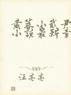 黄蓉小武尹志平小说最新章节更新时