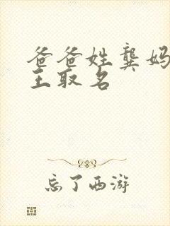 爸爸姓龚妈妈姓王取名