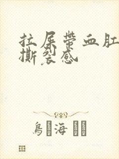 拉屎带血肛门有撕裂感