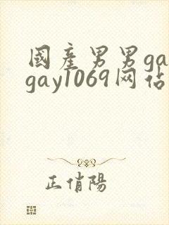 国产男男gaygay1069网站封面