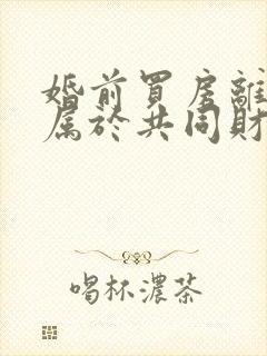 婚前买房离婚后属于共同财产吗