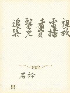 追击者电视剧全集免费播放高清