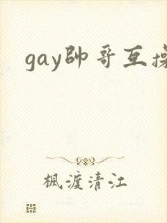 gay帅哥互操