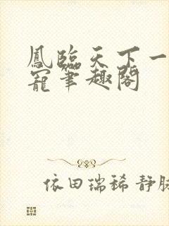 凤临天下一后千宠笔趣阁