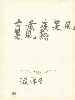 有黄痰是风寒还是风热