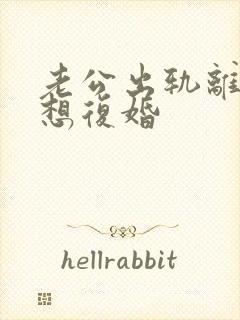 老公出轨离婚后想复婚封面