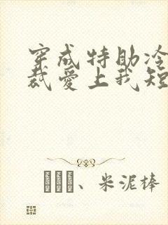 穿成特助冷艳总裁爱上我短剧免费观看