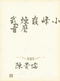 武炼巅峰小说好看么