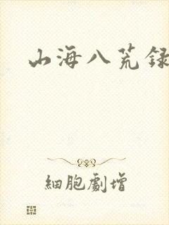 山海八荒录洛水封面