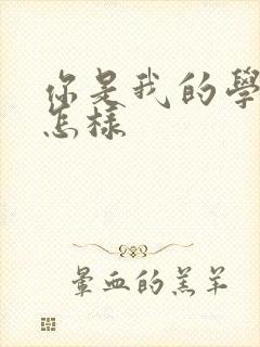 你是我的学生又怎样封面