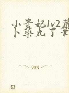 小贵妃1v2萝卜药丸了笔趣阁