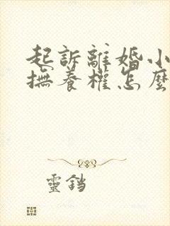 起诉离婚小孩的抚养权怎么判