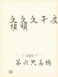 久久久午夜激情视频