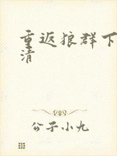 重返狼群下载高清封面