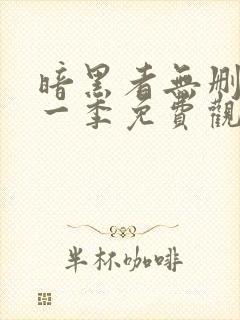 暗黑者无删减第一季免费观看全集