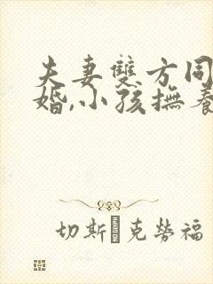 夫妻双方同意离婚,小孩抚养权归谁?