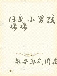13岁小男孩的鸡鸡