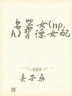 名器女(np,h)背德女配h