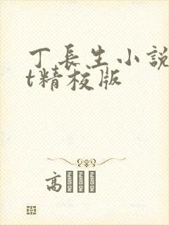 丁长生小说txt精校版封面