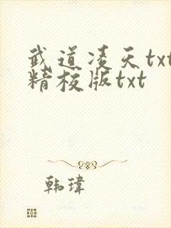 武道凌天txt精校版txt