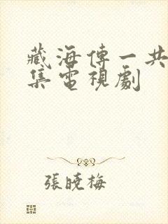 藏海传一共多少集电视剧