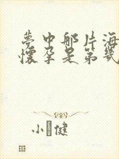 梦中那片海晓梅怀孕是第几集