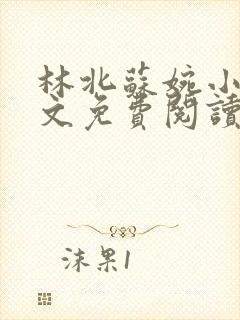 林北苏婉小说全文免费阅读