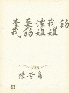 李采潭我的妻子我的姐姐封面