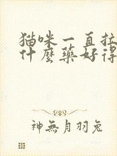 猫咪一直拉稀吃什么药好得快