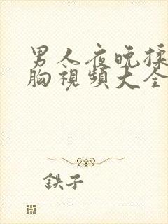 男人夜晚揉美女胸视频大全