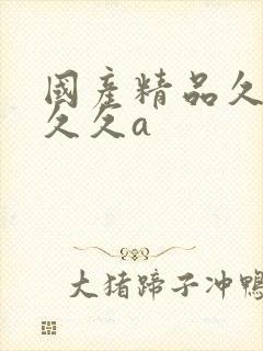 国产精品久久久久久a