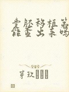 囊胚移植第五天能查出来吗封面