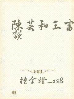 陈芸和王富贵小说