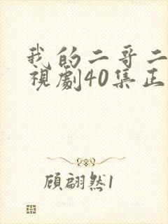 我的二哥二嫂电视剧40集正片