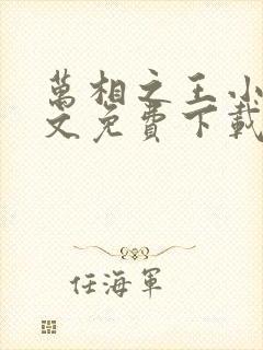 万相之王小说全文免费下载封面