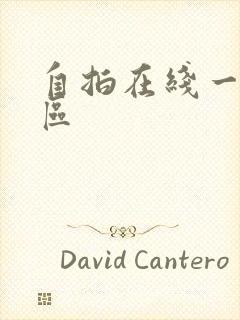 自拍在线一区二区