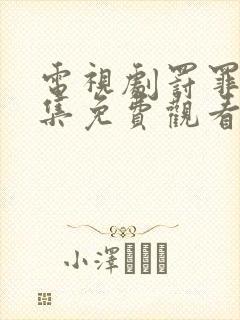 电视剧罚罪40集免费观看全集